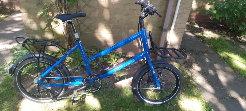 Ridgeback Errand 2024