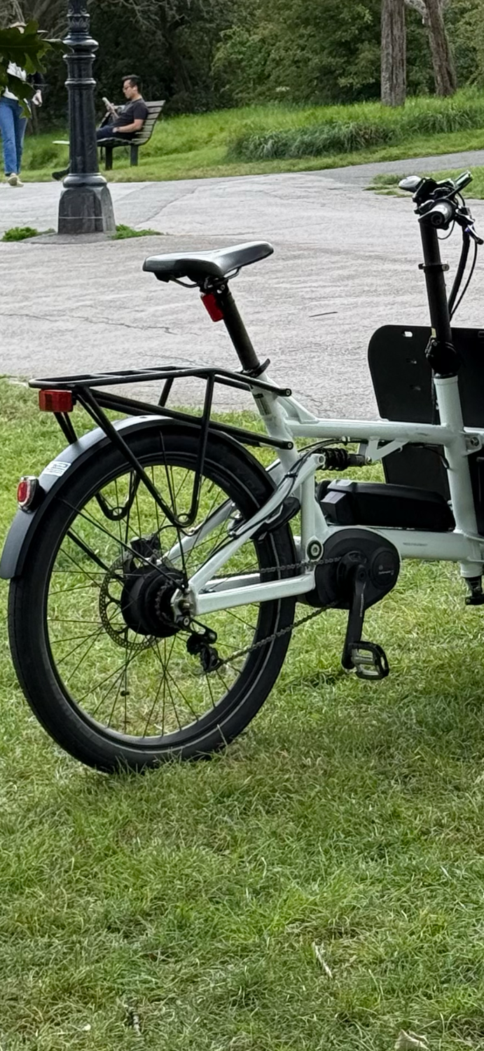 Riese and Muller Load 75 Vario 2019