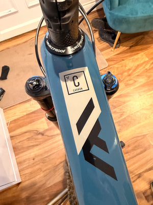Nukeproof Mega 290 Carbon RS 2021