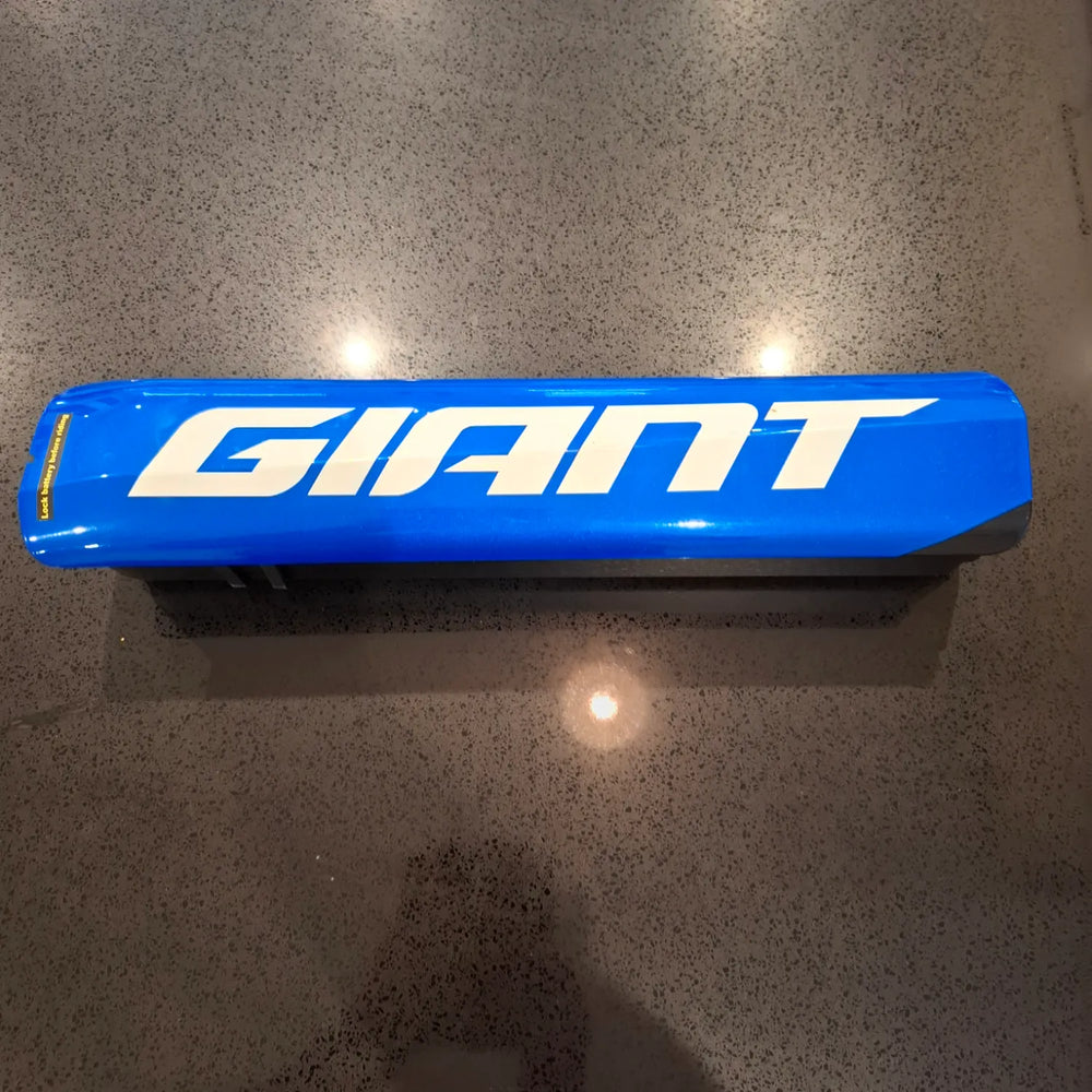 Giant Road E+ 1 Pro Electric Bike 2021