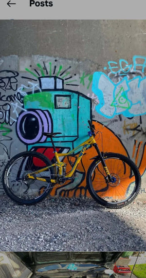 Liv Pique SX 2 2018