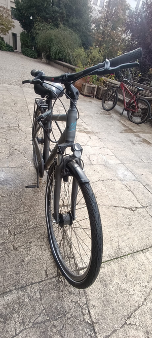 Falter C 4.0 Plus 2020 heavy duty bike’