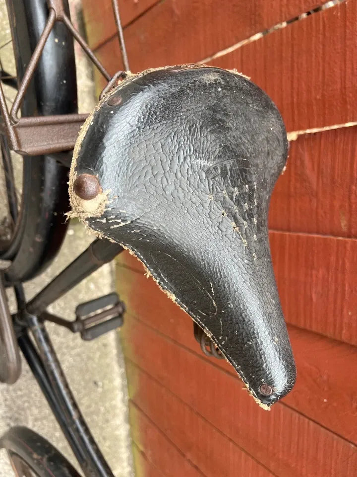 Raleigh Special 2017
