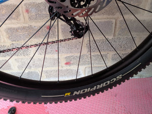 Cinelli Hobootleg Geo Apex Disc 2020