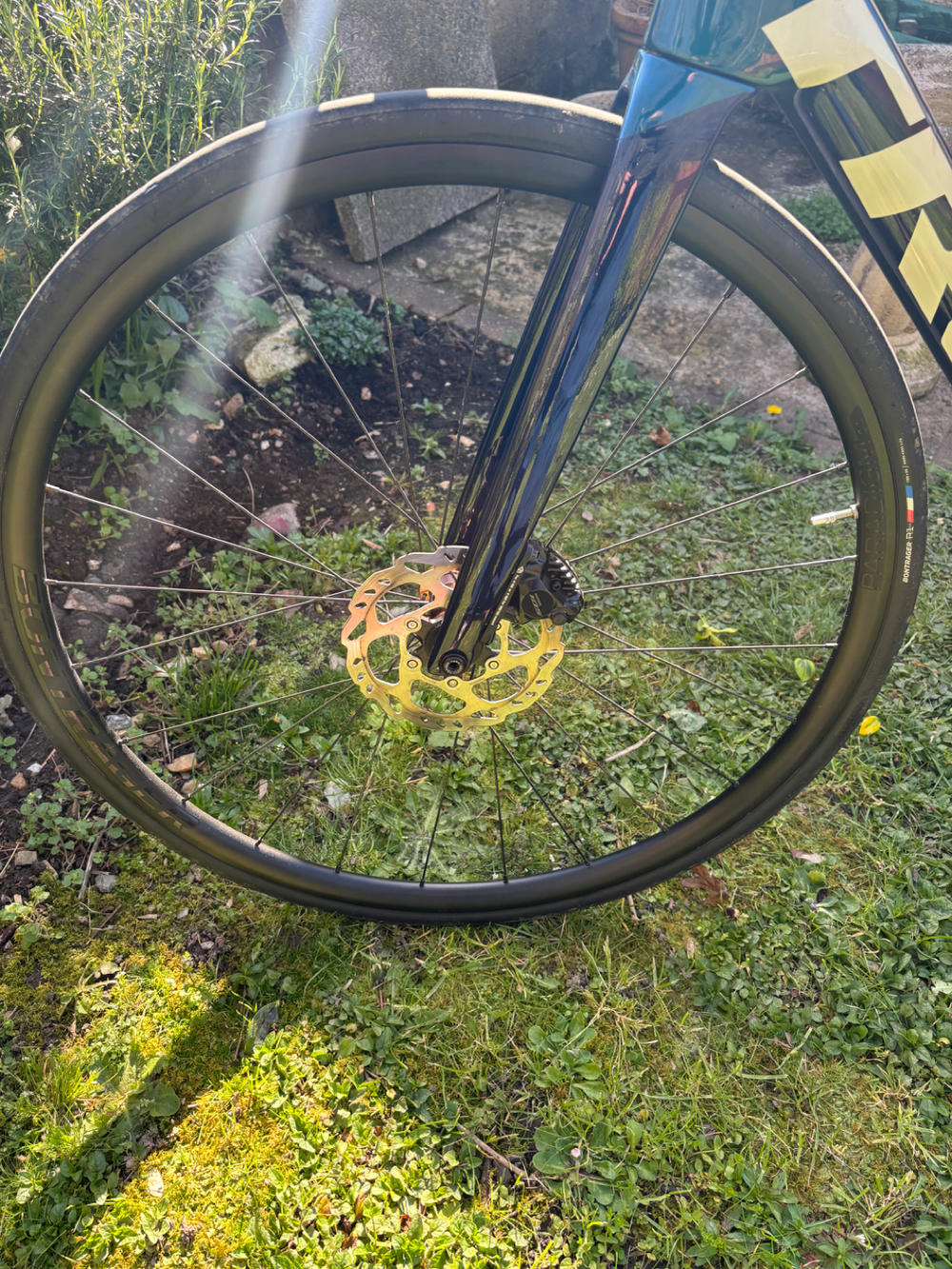 Trek Émonda SL 5 2024