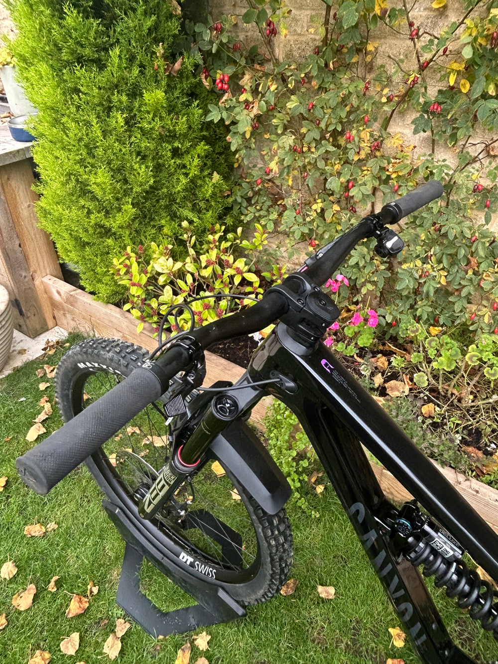 Canyon Torque Mullet CF 9 2023