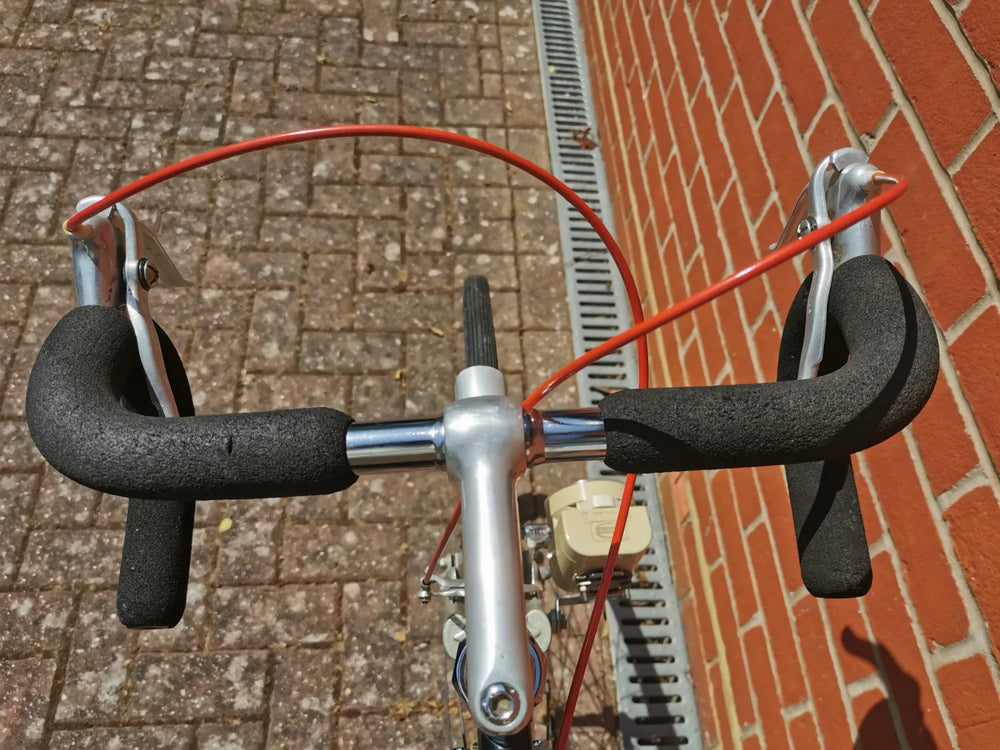 Raleigh Winner 1982