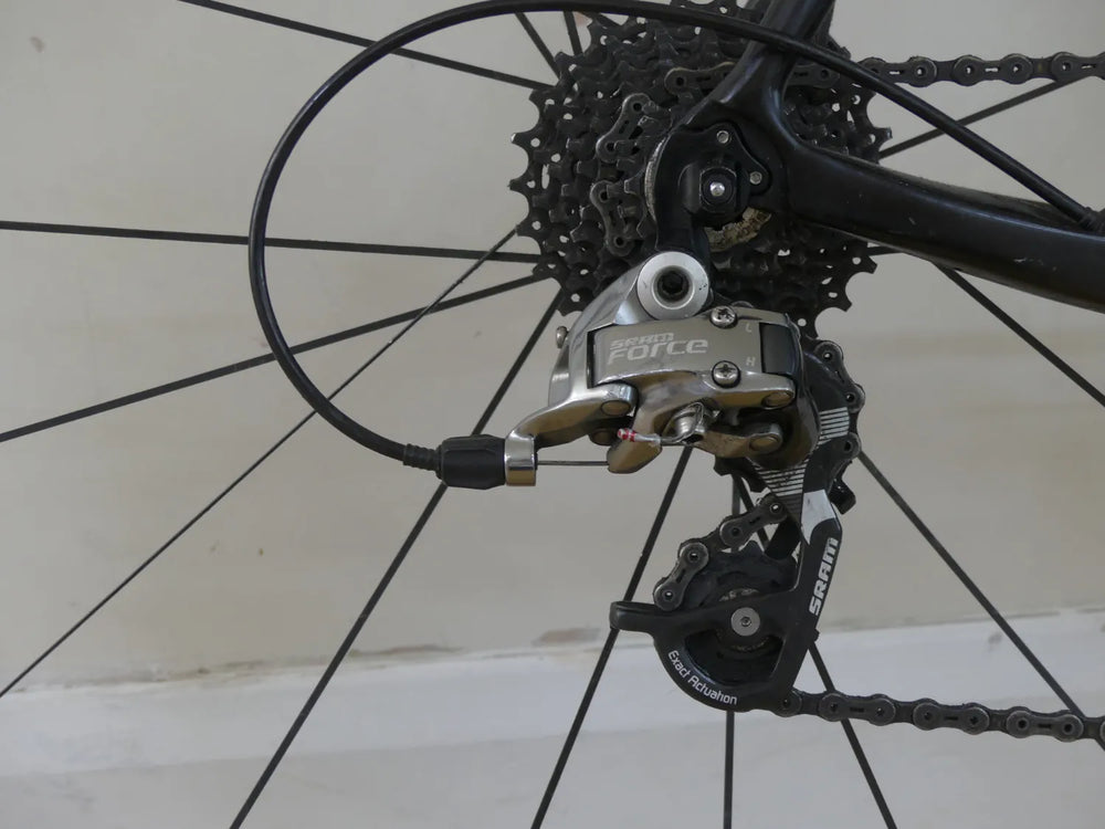 Raleigh militis 2013
