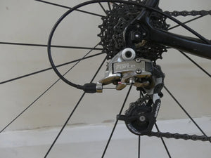 Raleigh militis 2013
