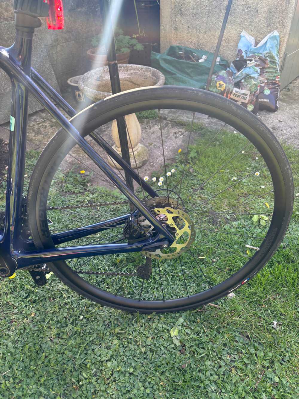 Trek Émonda SL 5 2024