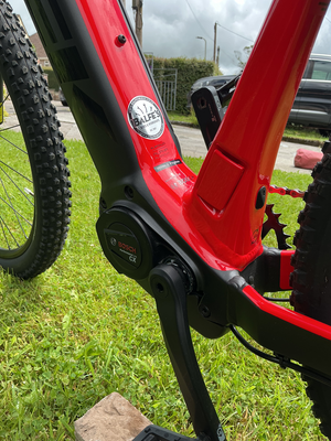 Trek Powerfly 4 625w Gen 4 2024