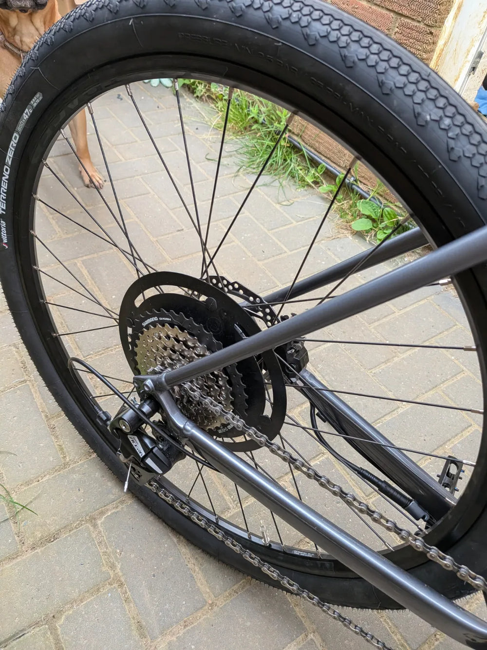 Trek Dual Sport+ 2 LT 250Wh 2026