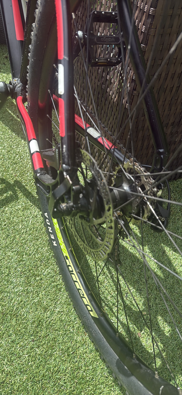 Carrera Fury 2024