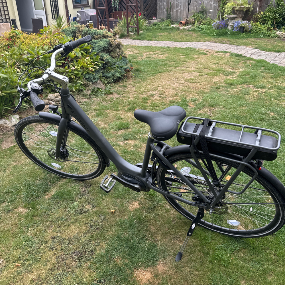 Ridgeback Electron S2 2024