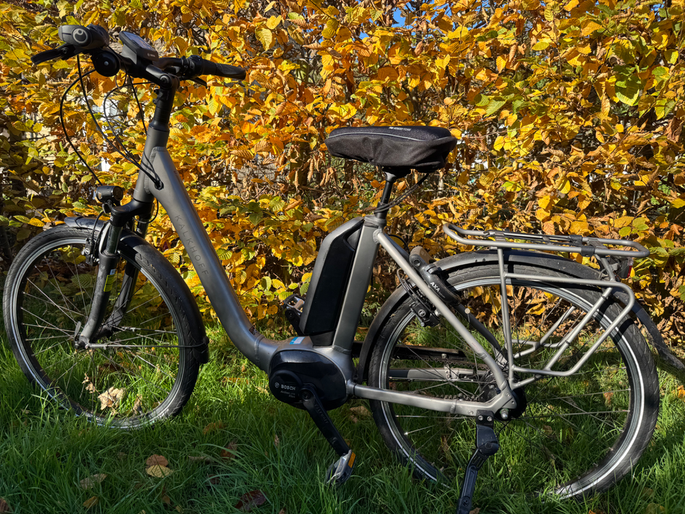 Kalkhoff Agattu 3.B 2020