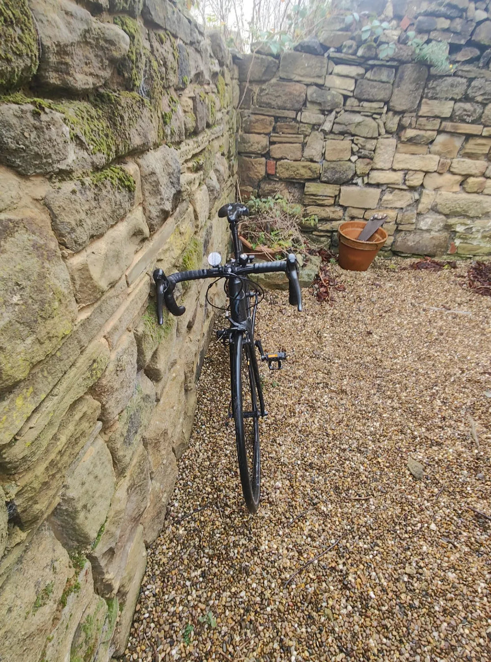 Specialized Allez 2021