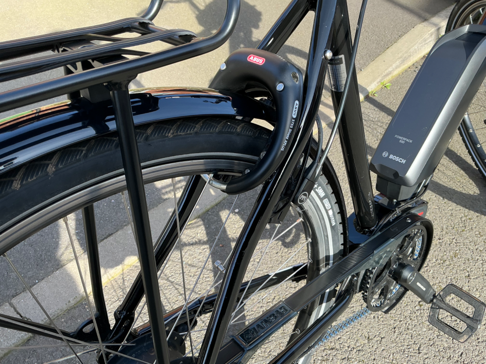 Riese and Muller Roadster Vario 2022