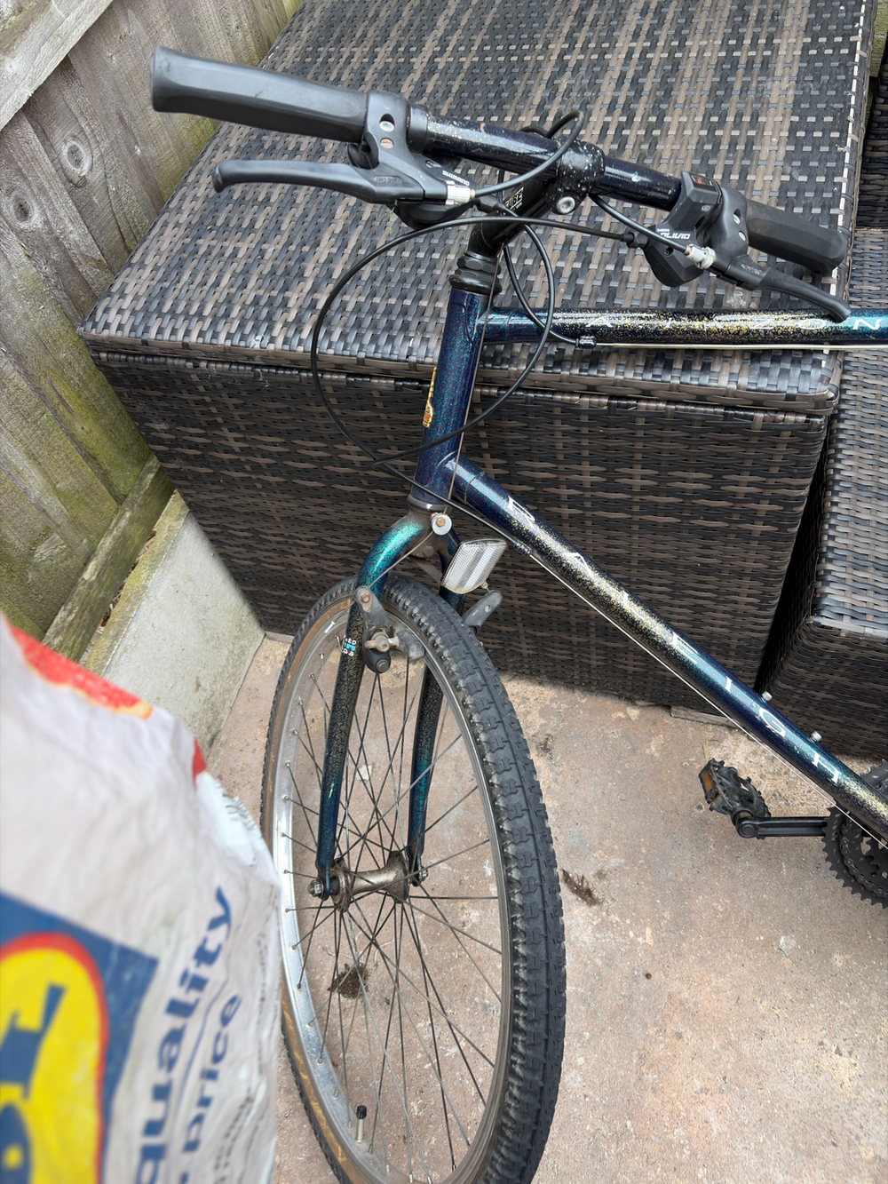 Raleigh Alysa 1 (2018) 2018
