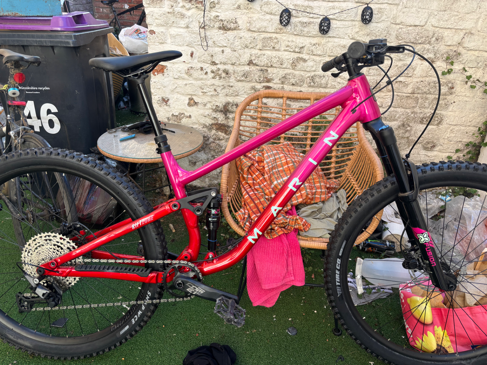 Marin Rift Zone 1 2019