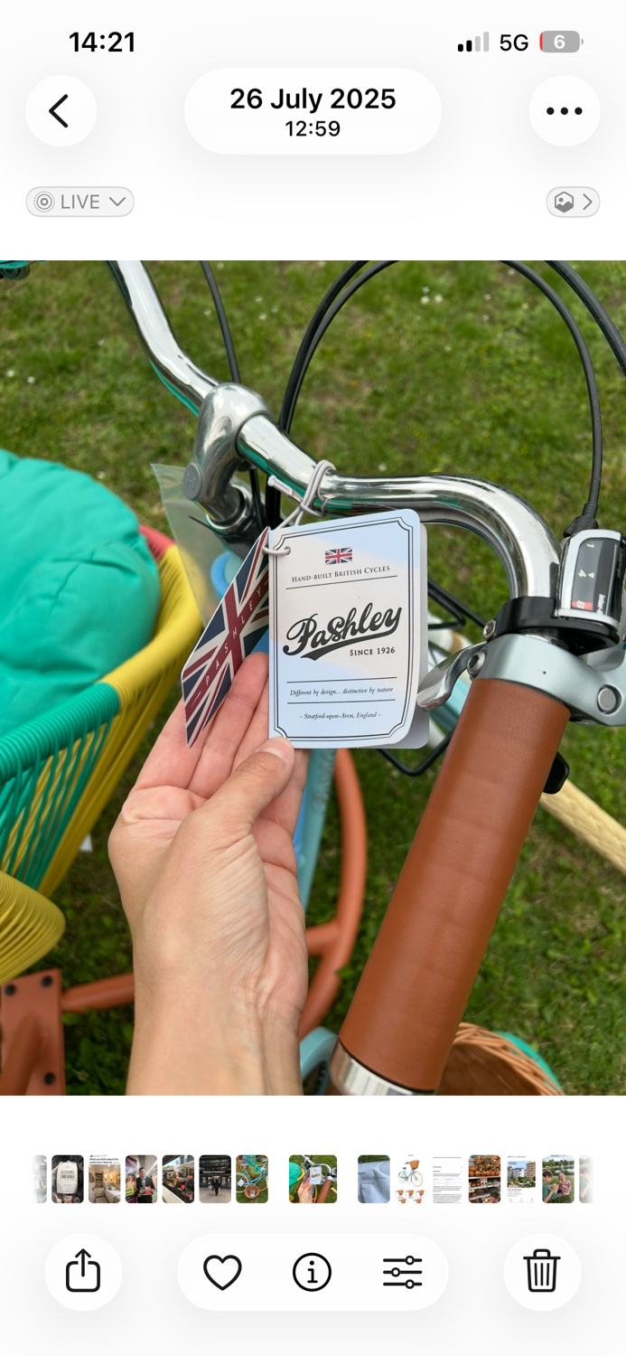 Pashley Britannia 8 Speed 2020