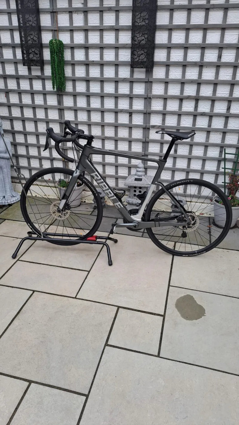 Ribble Endurance SL e, Shimano Tiagra 2019