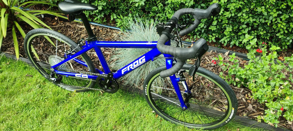 Frog Road 58 2024