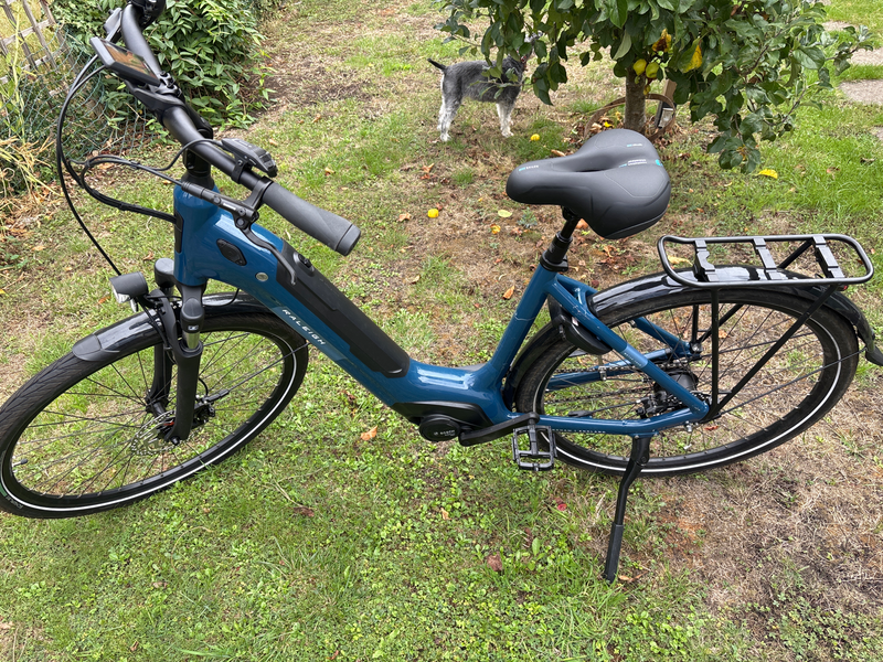 Raleigh Motus Grand Tour Hub Gear Low Step 2025