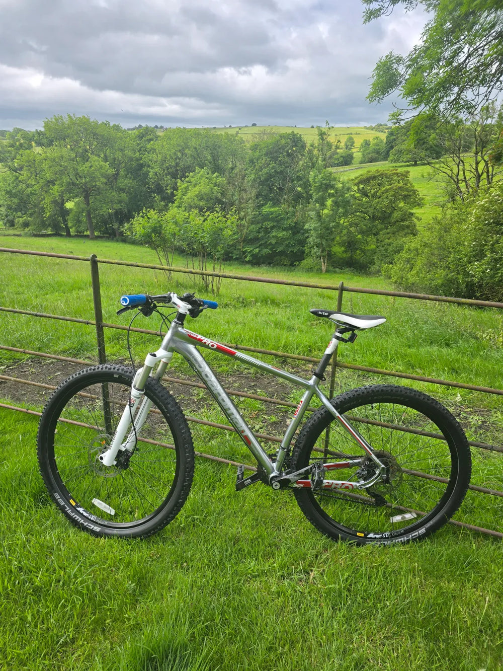 Boardman TXC29 2019