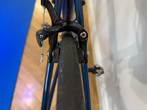 Trek Domane AL 2 Disc 2020