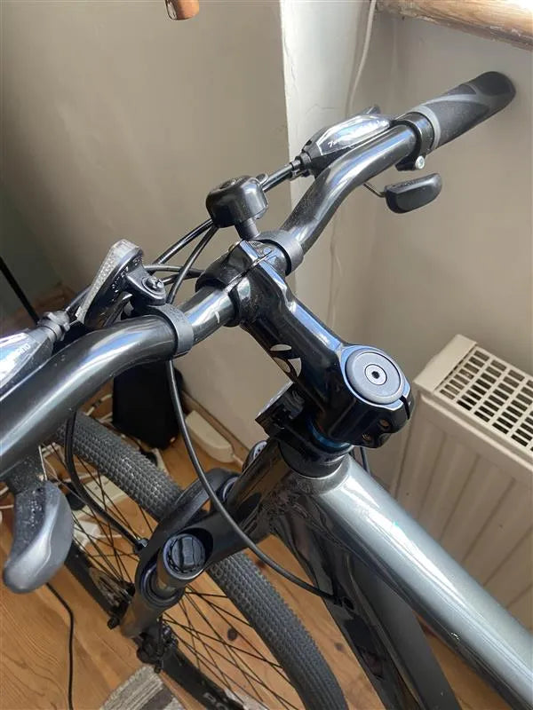 Trek Dual Sport 1 2021