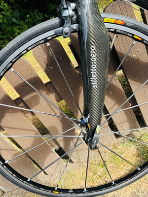 Storck scenario 1.1