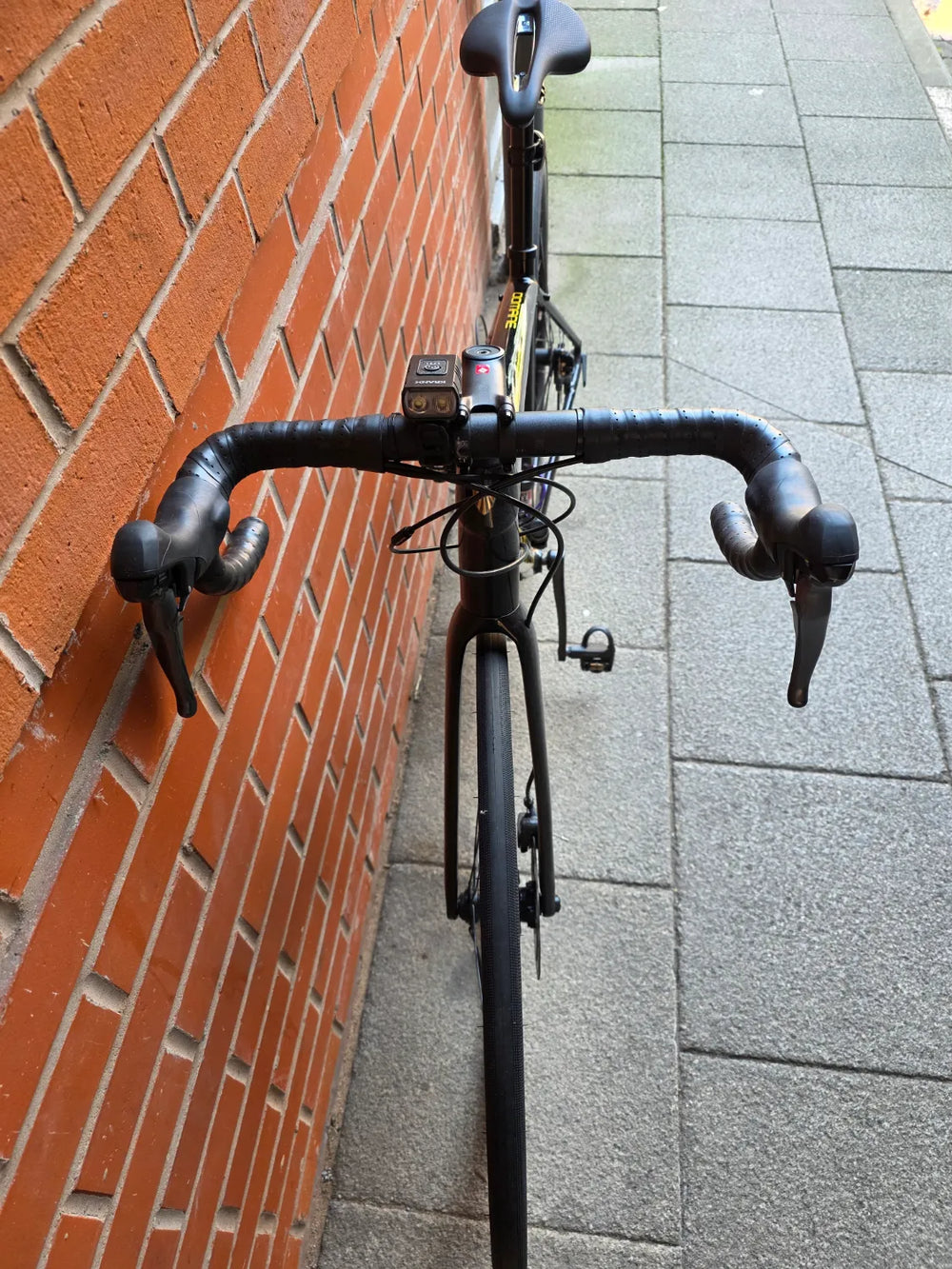 Trek Domane AL 2 2022