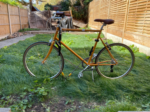 Tokyo bike CS26