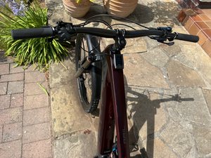 Trek Rail 9.8 GX 2021