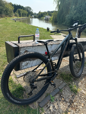 Trek Roscoe 7 2023
