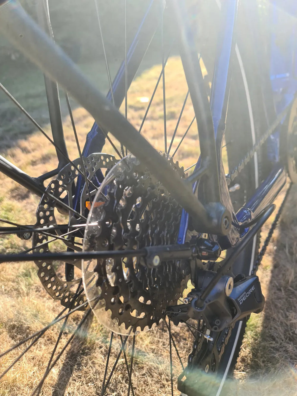Trek Allant+ 7 2024
