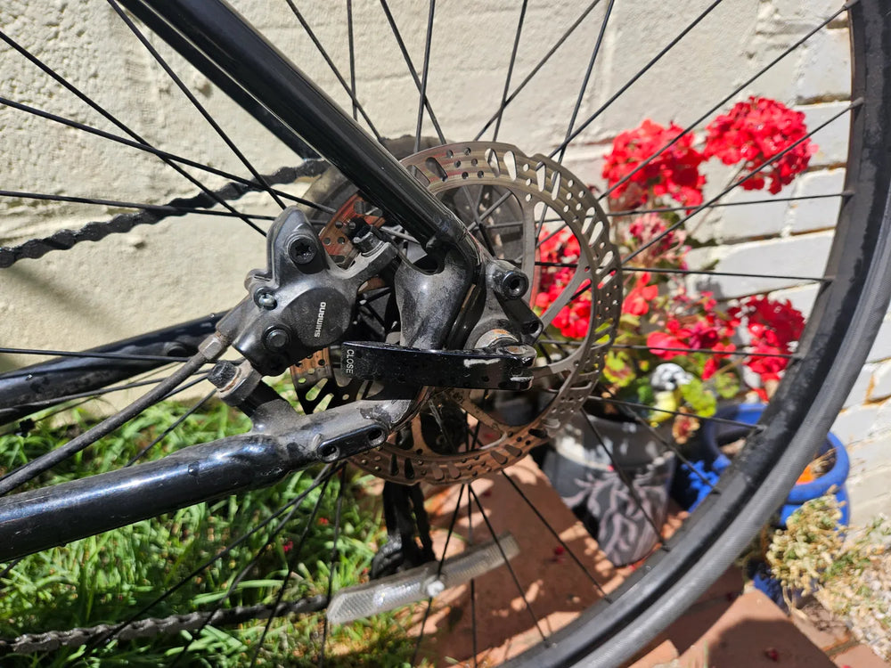 Trek Dual Sport 2 Gen5 2024