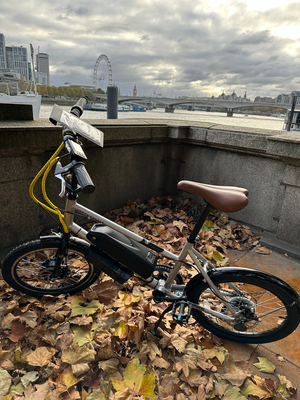 Urban Arrow Shorty 2023