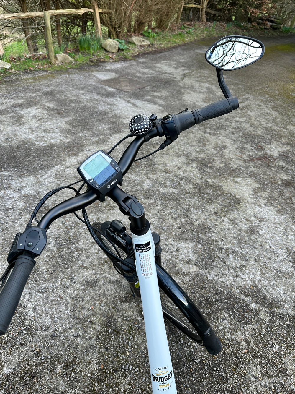 Raleigh Motus 400W 2020