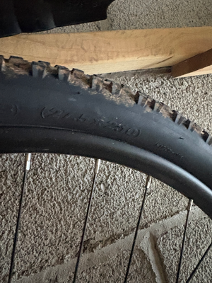 Carrera Vengeance ,