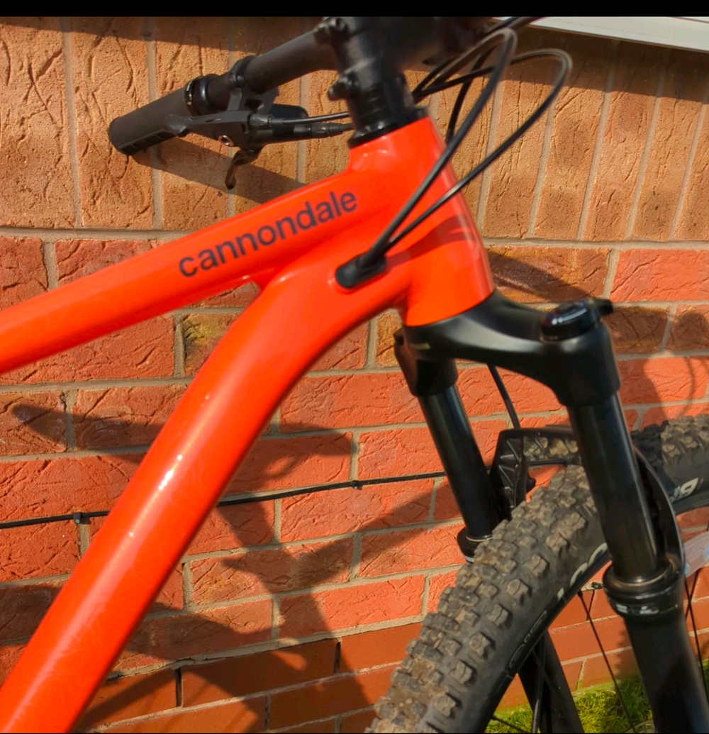 Cannondale Trail Se 3 2022