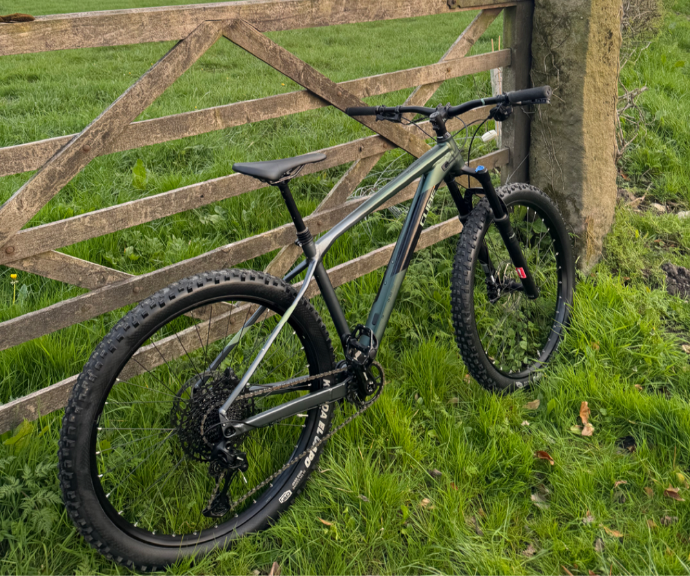 CUBE Reacton C:62 One 2019