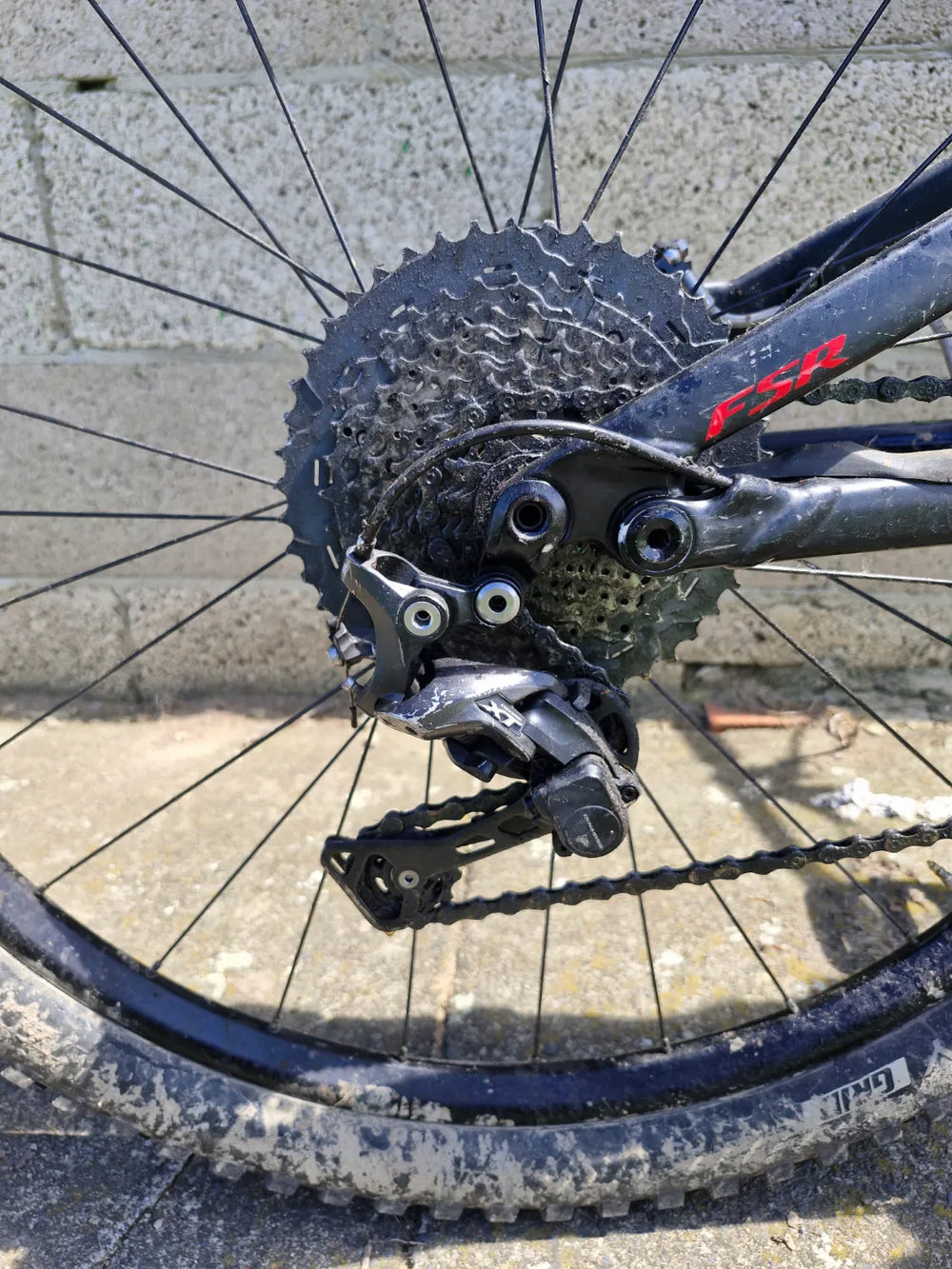 Specialized Men's Stumpjumper Comp Alloy 29  - 12-speed 2020