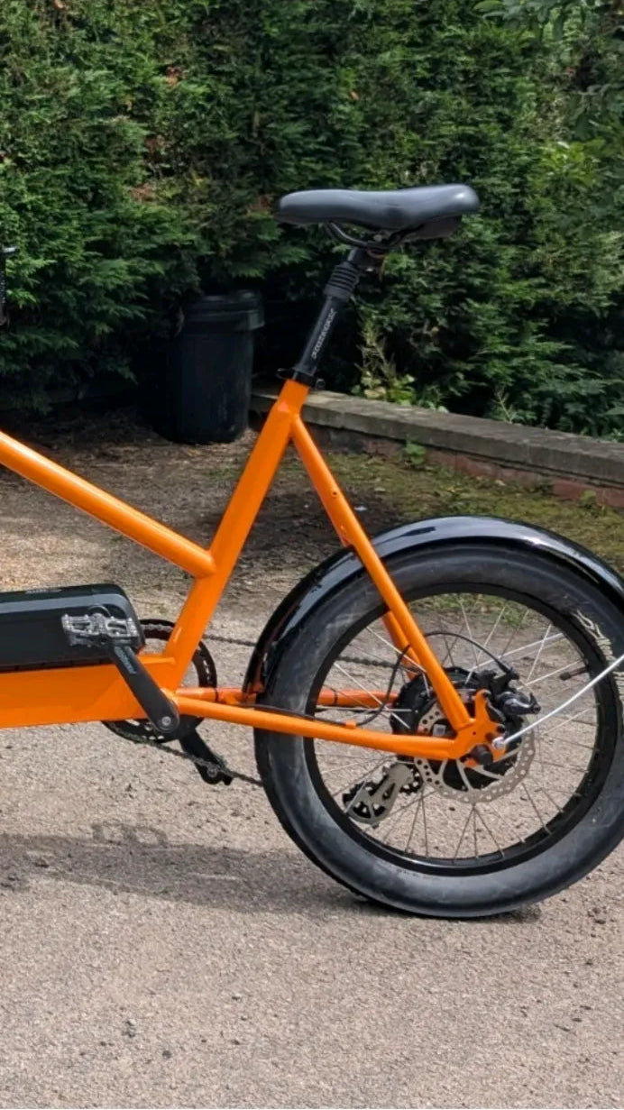 Yorvik Family cargo 2020