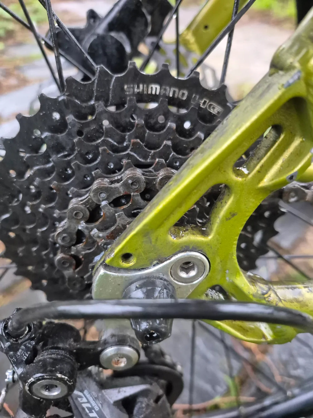 Voodoo Braag 29 2023