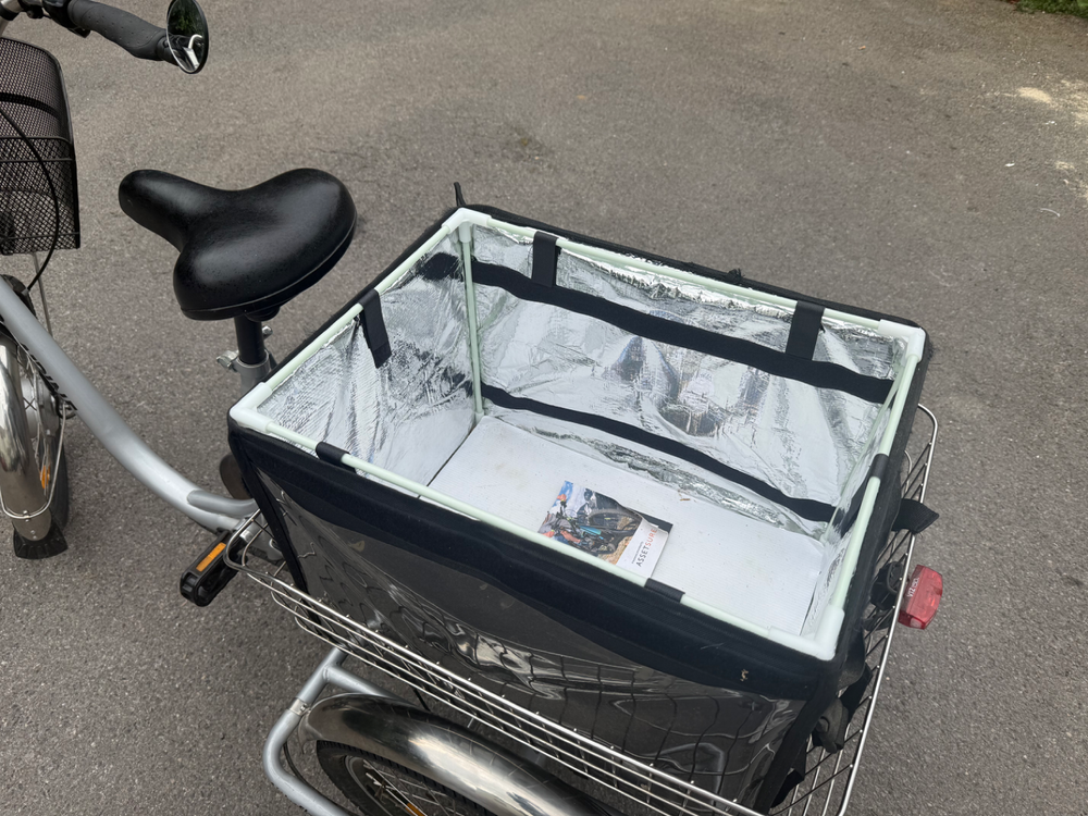 Alpine Tilt E trike 2020
