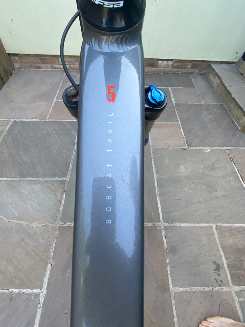 Marin Bobcat Trail 5 2022