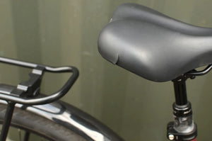 Raleigh Motus Grand Tour Hub Gear Low Step 2022