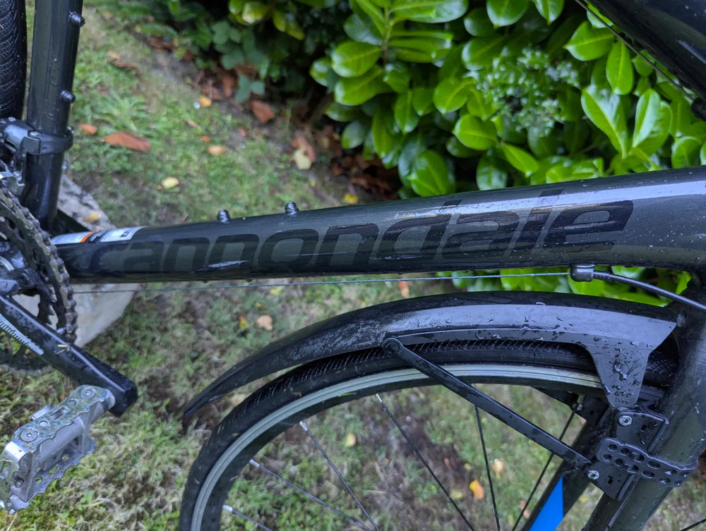 Cannondale CAAD Optimo Claris 2019