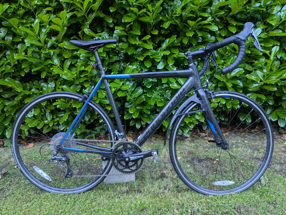 Cannondale CAAD Optimo Claris 2019